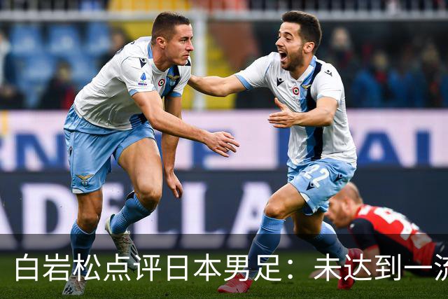 白岩松点评日本男足：未达到一流强队标准，仍需克服对荷兰的恐惧